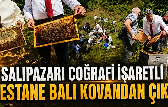 Coğrafi İşaretli Kestane Balı Kovandan Çıktı