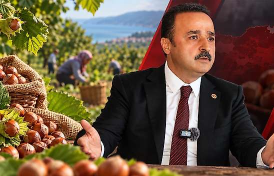 250 TL'nin altında fındık alanlara yaptırım talebi