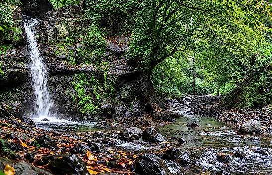 Adı Belgelerde, Hikâyesi Henüz Ormanın İçinde! Salıpazarı 'Gavur Deresi'