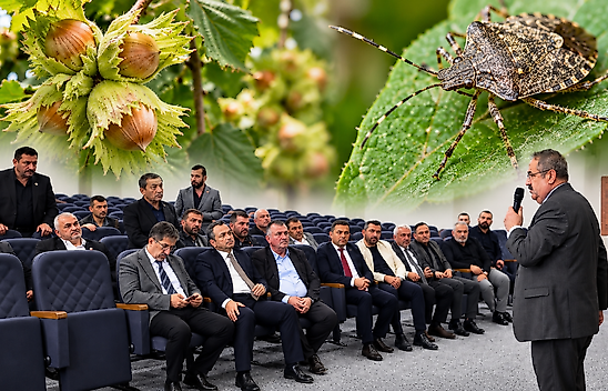 Çarşamba'da Tarımı Tehdit Eden Kokarca İçin Ortak Mücadele