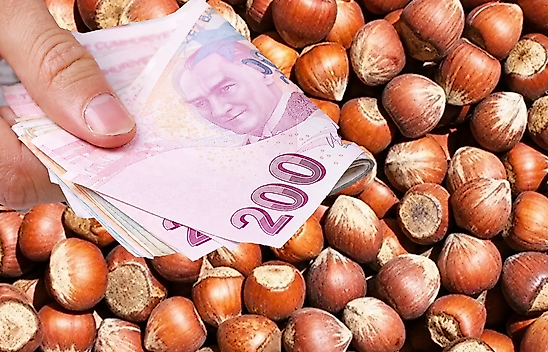 Çarşamba, Terme ve Salıpazarı'nda fındık kaç TL oldu?