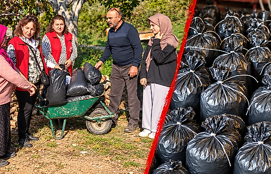 Çiftçilere Yeni Gelir Kapısı: Mantar Üretimi
