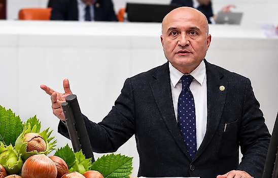 Erhan Usta'dan Fındık İçin TMO'ya Çağrı: Kota Kalksın, Ödeme Peşin Yapılsın
