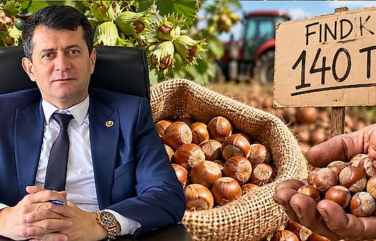 Fındıkta 140 TL İddiası: Terme Ziraat Odası'ndan Tepki