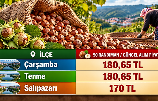 Salıpazarı'nda fındık 170 TL: Çarşamba ve Terme'de son durum