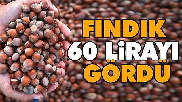 Fındık 60 Lirayı Gördü