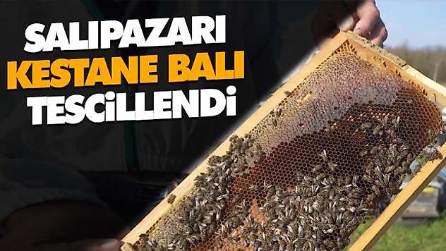 Salıpazarı Kestane Balı Tescillendi