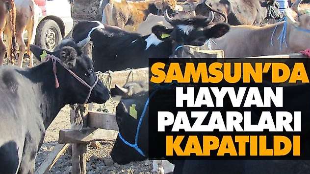 Samsun'da Tüm Hayvan Pazarları Kapatıldı