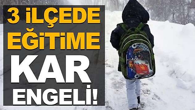 3 İlçede Eğitime Kar Engeli!