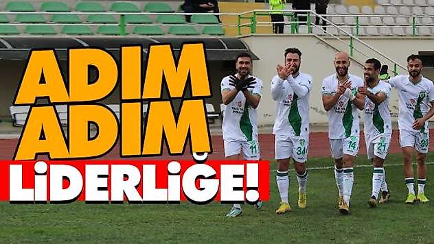 Adım Adım Liderliğe!