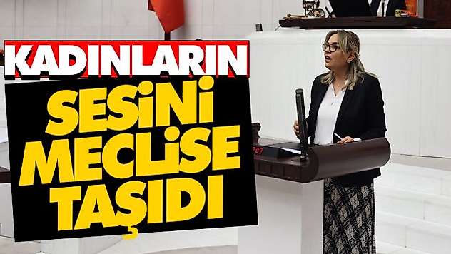 Kadınların Sesini Meclise Taşıdı
