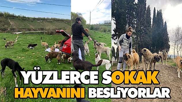 Yüzlerce Sokak Hayvanını Besliyorlar