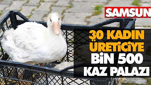 30 Kadın Üreticiye Bin 500 Kaz Palazı