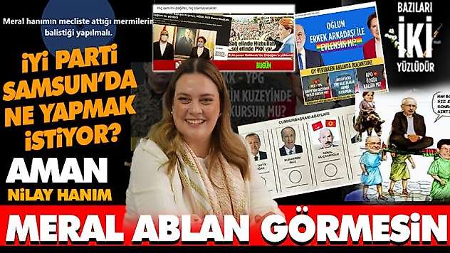 Aman Meral Hanım Görmesin!