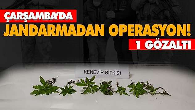 Jandarmadan Operasyon!