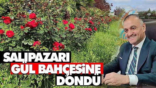Salıpazarı Gül Bahçesine Döndü