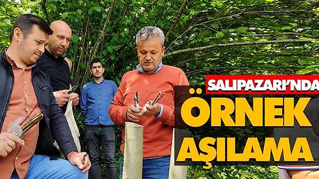 Salıpazarı'nda Örnek Aşılama