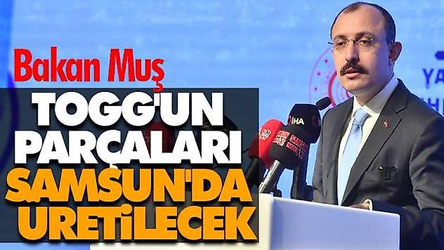 Togg'un Parçaları Samsun'da Üretilecek