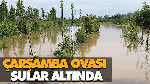 Çarşamba Ovası Sular Altında