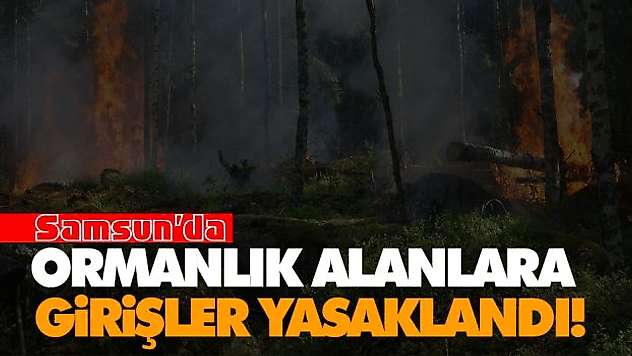 Ormanlık Alanlara Girişler Yasaklandı!