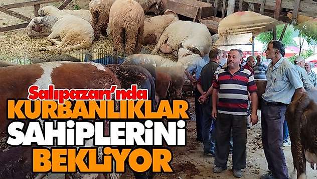 Salıpazarı'nda Kurbanlıklar Sahiplerini Bekliyor