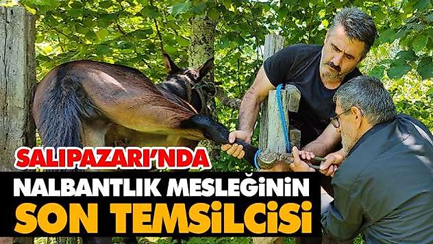 Salıpazarı'nda Nalbantlık Mesleğinin Son Temsilcisi