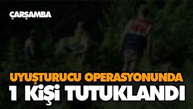Uyuşturucu Operasyonunda 1 Kişi Tutuklandı