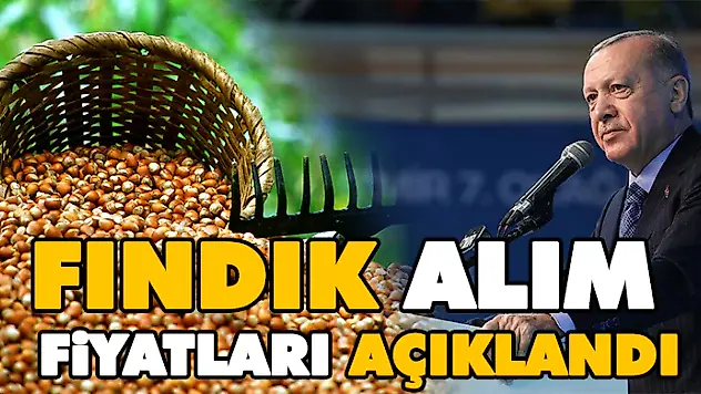 Fındık Alım Fiyatları Açıklandı