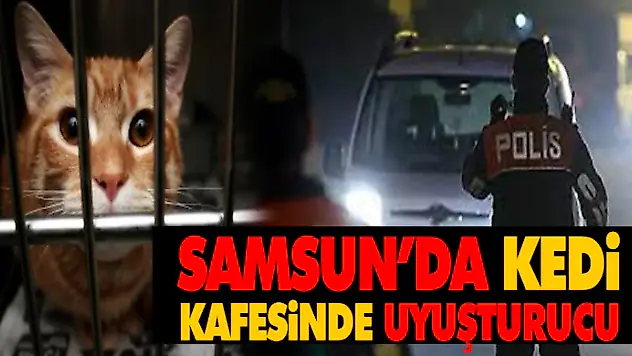 Samsun'da Kedi Kafesinde Uyuşturucu