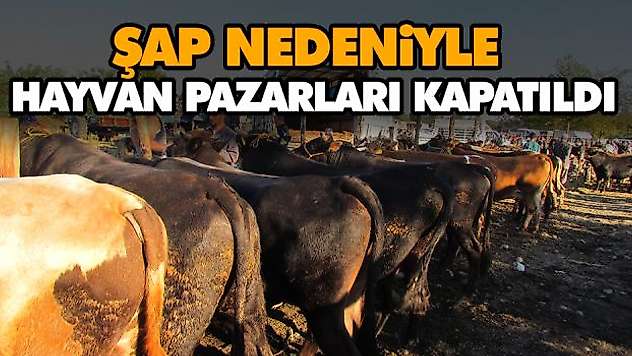 Şap Nedeniyle Hayvan Pazarları Kapatıldı