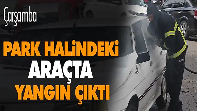 Park Halindeki Araçta Yangın Çıktı