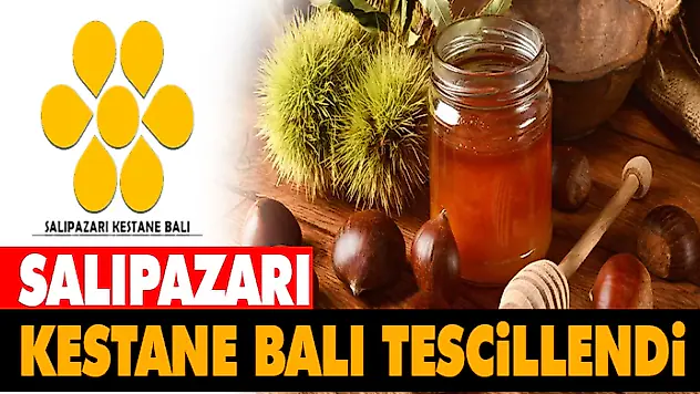 Salıpazarı Kestane Balı Tescillendi