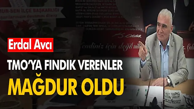 TMO'ya Fındık Verenler Mağdur Oldu