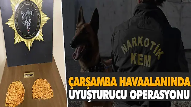 Havaalanında Uyuşturucu Operasyonu