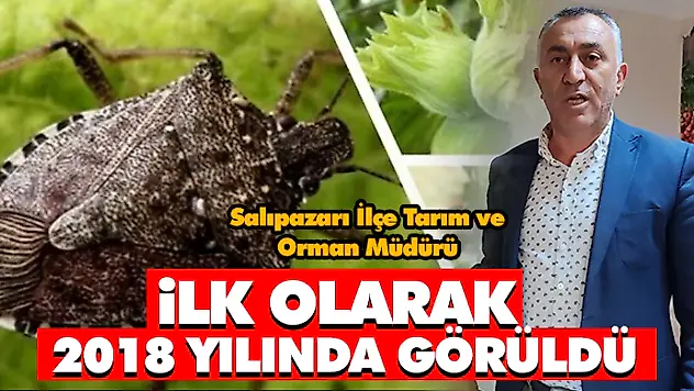 İlk Olarak 2018 Yılında Görüldü