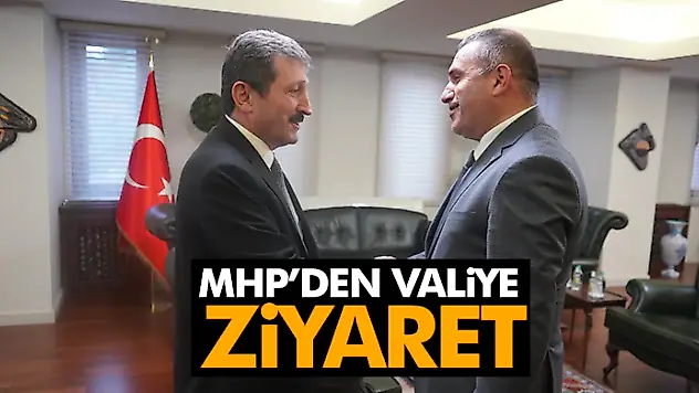 MHP'den Valiye Ziyaret