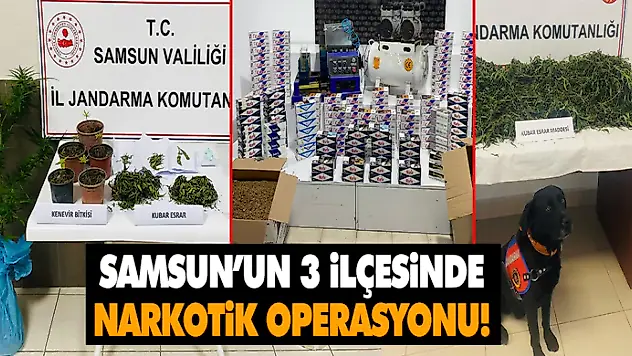 Samsun'un 3 İlçesinde Narkotik Operasyonu! 5 Gözaltı