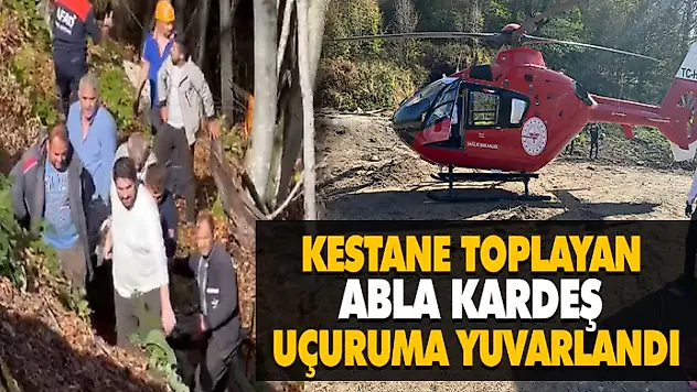 Kestane Toplayan Abla Kardeş Uçuruma Yuvarlandı
