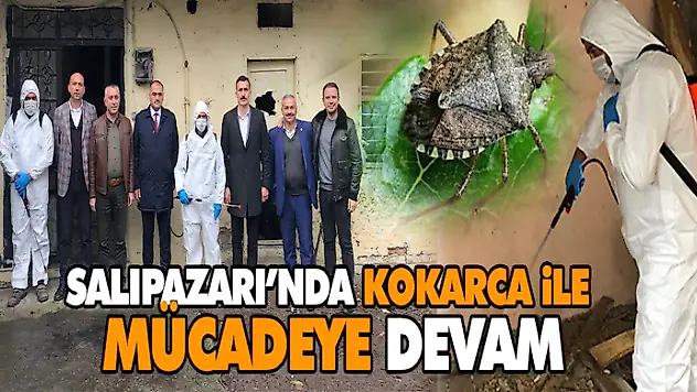 Salıpazarı'nda Kokarca İle Mücadeye Devam