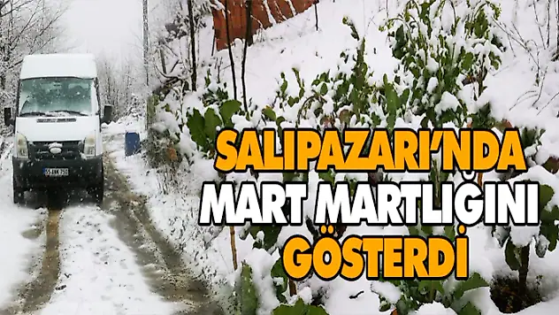 Salıpazarı'nda Mart Martlığını Gösterdi