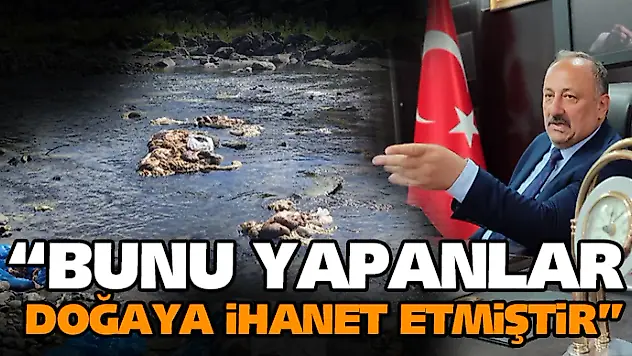 Başkan Karaca 'Bunu Yapanlar Doğaya İhanet Etmiştir'