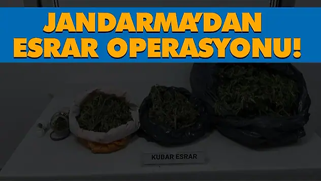 Jandarma'dan Esrar Operasyonu!