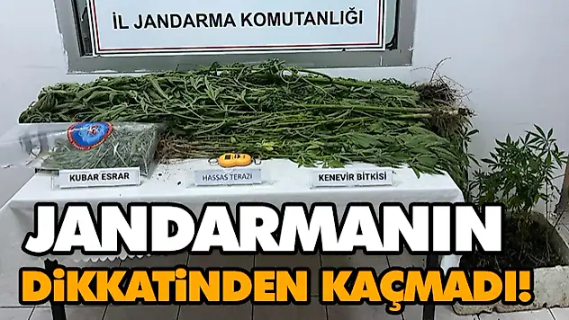 Jandarmanın Dikkatinden Kaçmadı!