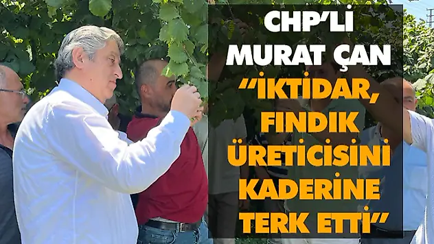 CHP'li Murat Çan 'İktidar, Fındık Üreticisini Kaderine Terk Etti'