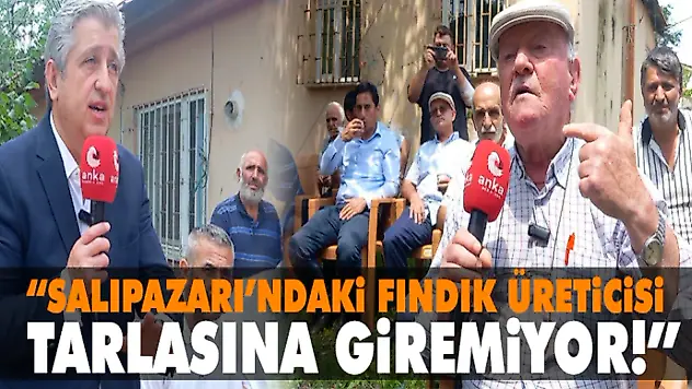 Salıpazarı'ndaki Fındık Üreticisi, Tarlasına Giremiyor!