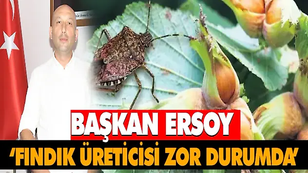 Başkan Ersoy 'Fındık Üreticisi Zor Durumda'