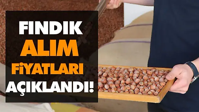 Fındık Alım Fiyatları Açıklandı!