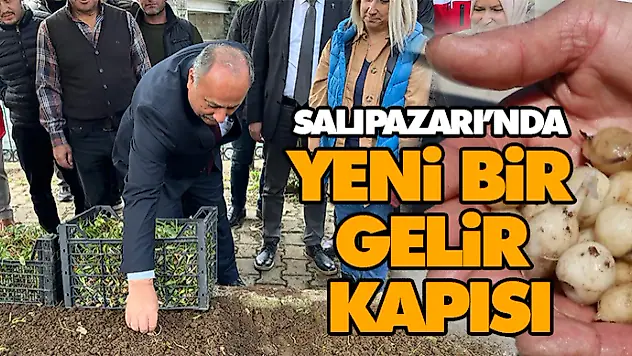 Salıpazarı'nda Yeni Bir Gelir Kapısı