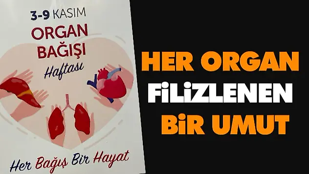3-9 Kasım Organ Bağışı Haftası… Her Organ Filizlenen Bir Umut