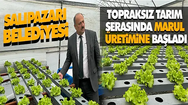 Salıpazarı Belediyesi Topraksız Tarım Serasında Marul Üretimine Başladı